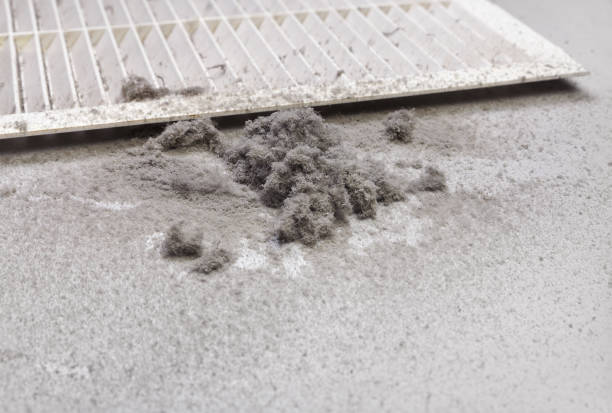 Best Residential Air Duct Cleaning  in North Merrick, NY