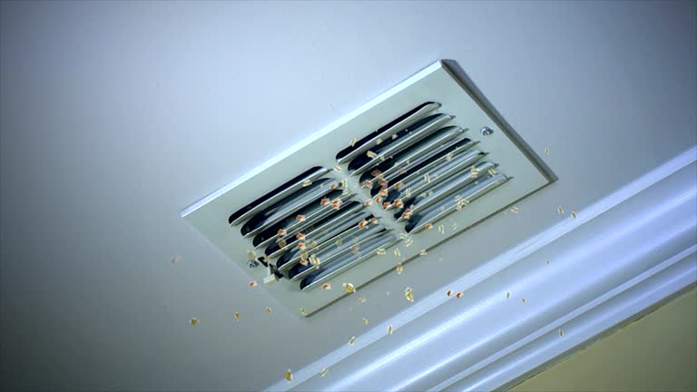 Best Air Duct Mold Removal  in North Merrick, NY
