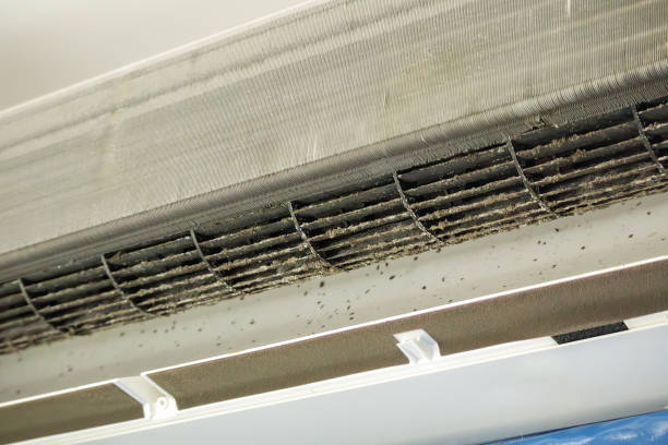 Best Ductwork Cleaning Services  in North Merrick, NY